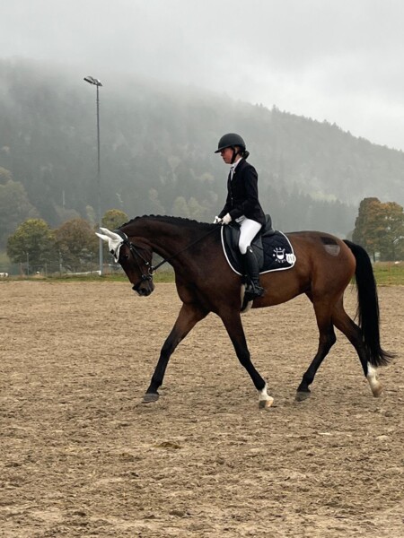 Intercantonal de Dressage 2026 - Zélie Sigrist