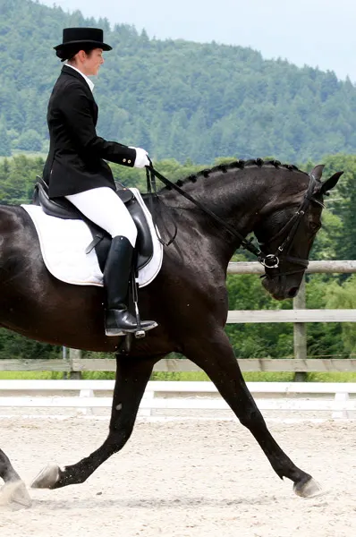 fer_dressage_2008_tavannes-(3)