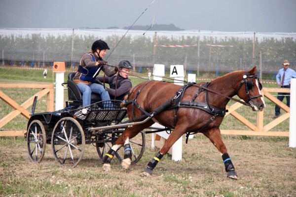 Attelage10
