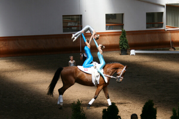 Voltige-01