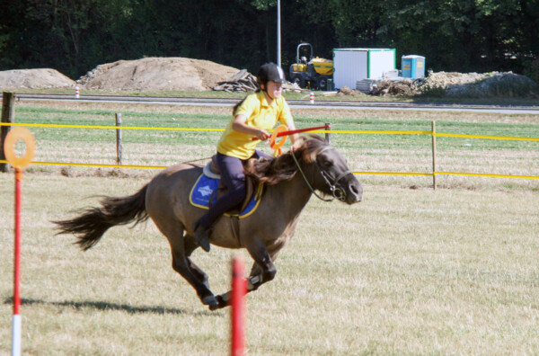 Poney-02