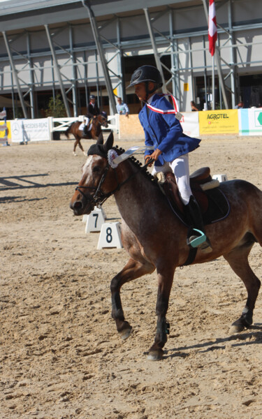 J Paradis ch suisses poneys 2017