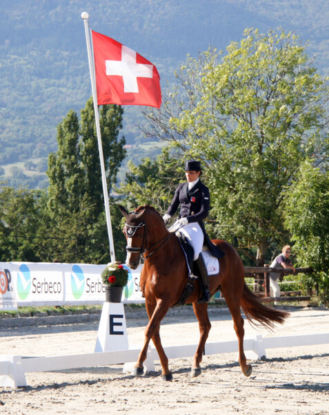 Dressage-04