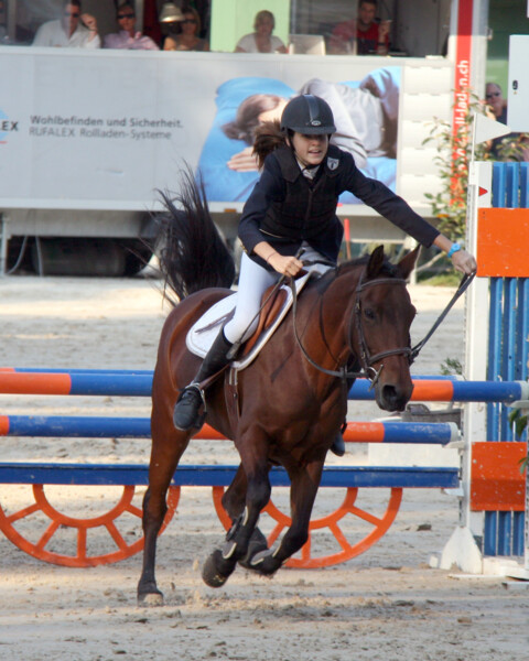 Poney-04