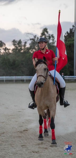 TREC 2018 camille 2