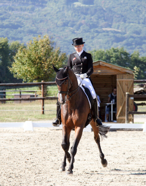 Dressage-06