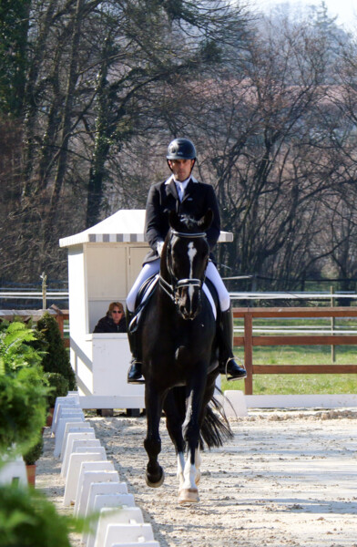 Dressage-07