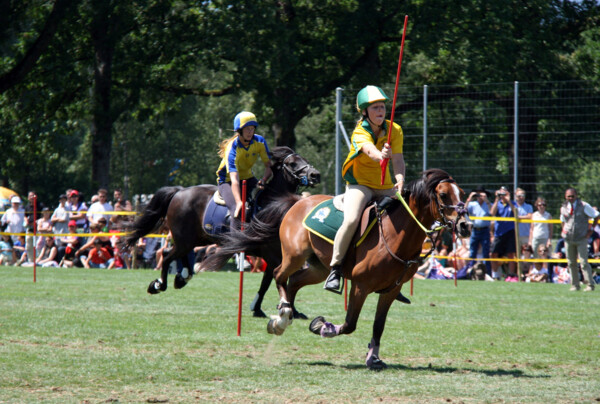 Poney-07