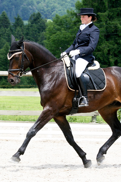 fer_dressage_2008_tavannes-(2)