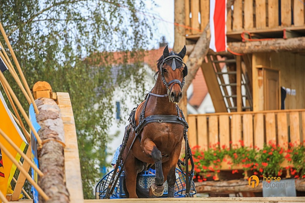 ch suisse Schertz 2018