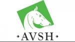 AVSH – Association Vaudoise des Sociétés Hippiques
